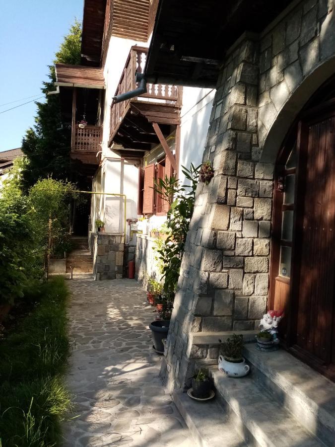 Pensiunea Nick Sinaia Bagian luar foto